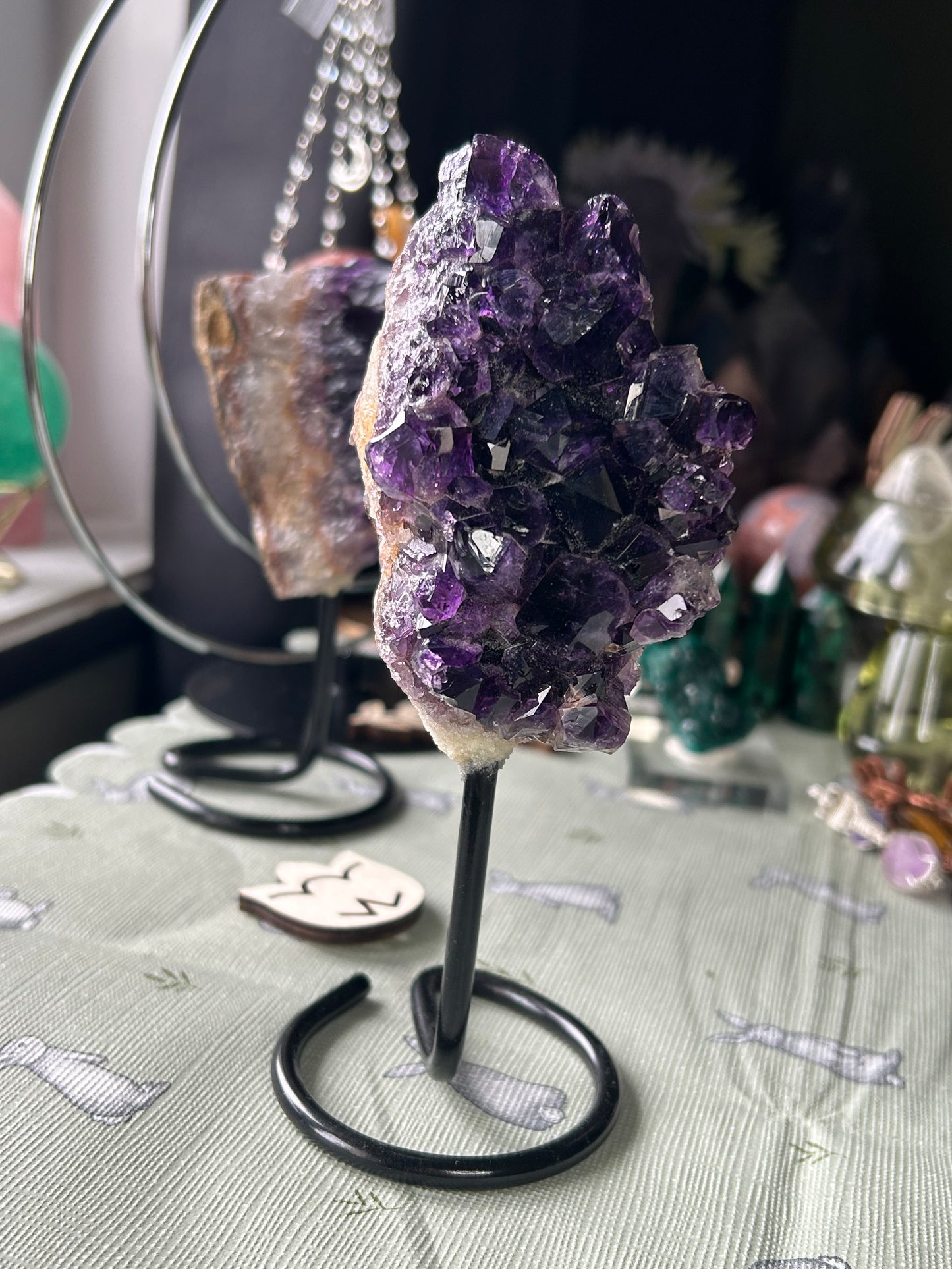 Brazilian Amethyst on stands
