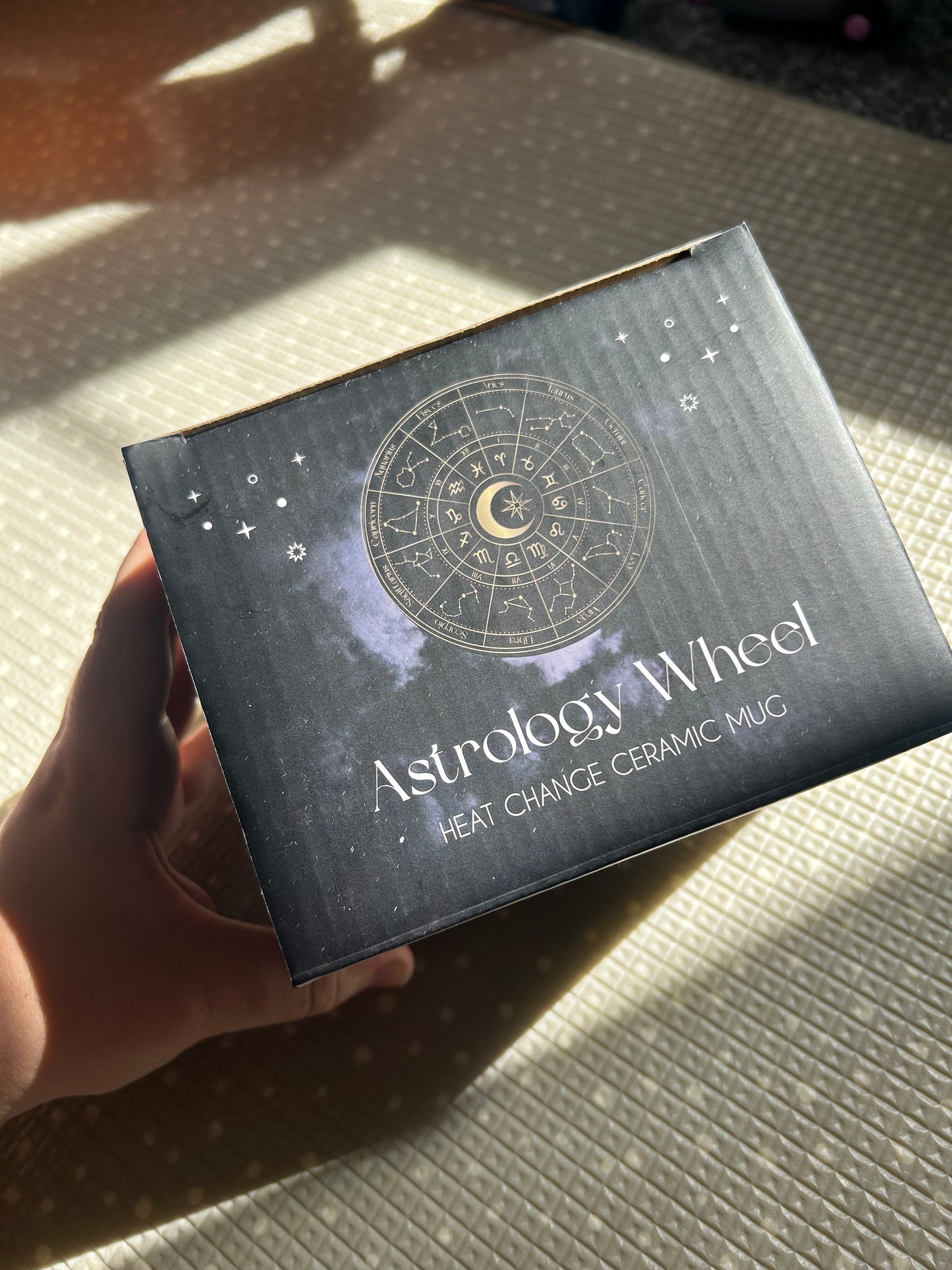 Astrology Wheel Heat Changing Mug