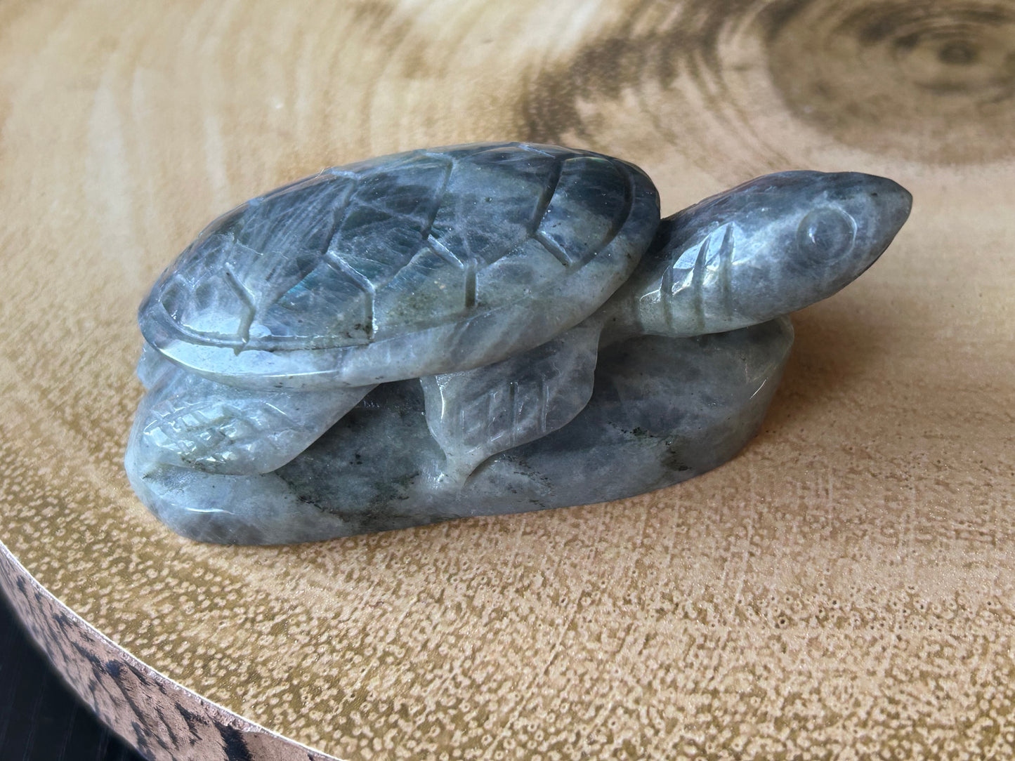 Labradorite Turtle