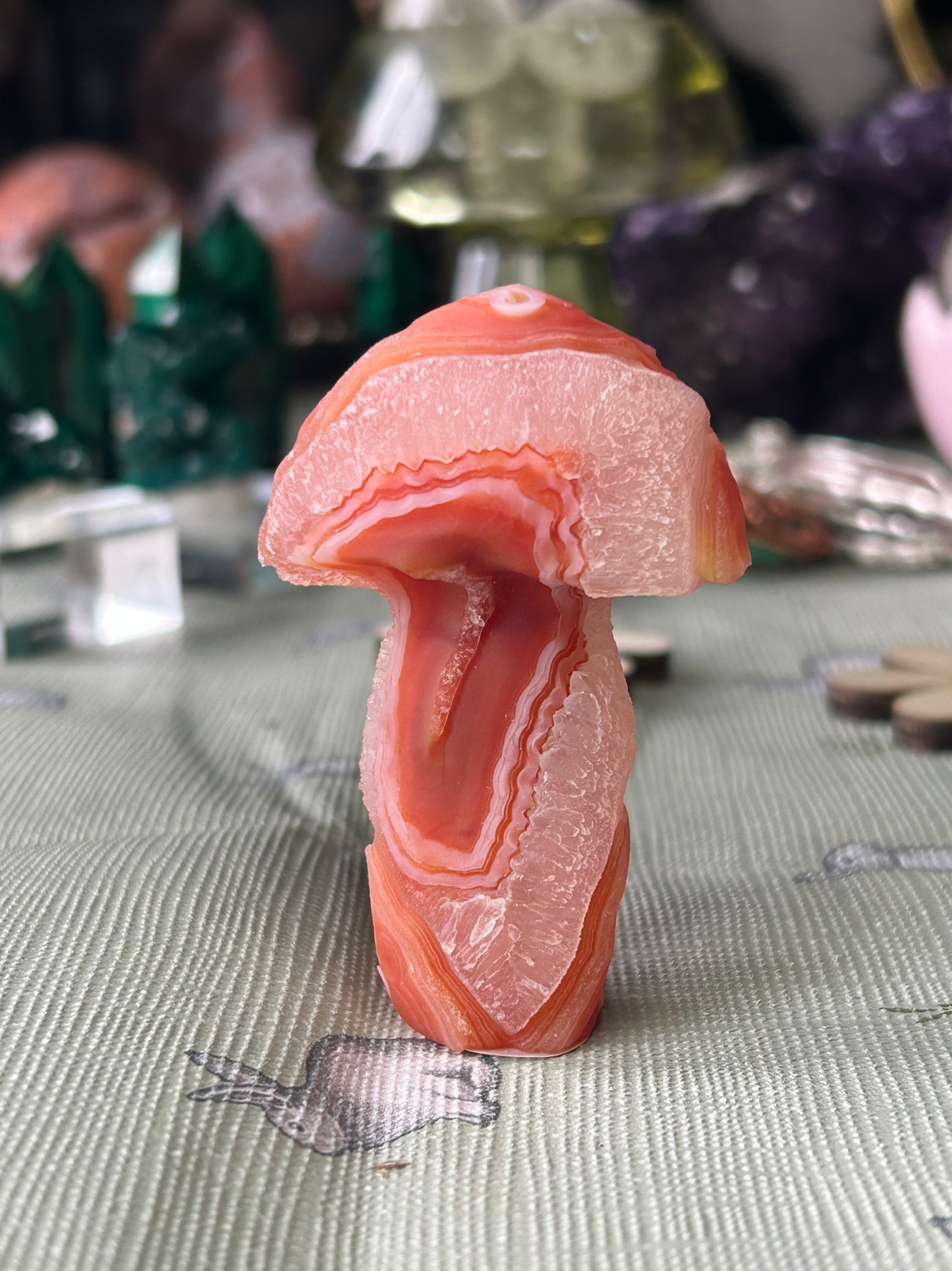 Gobi Agate Mushroom