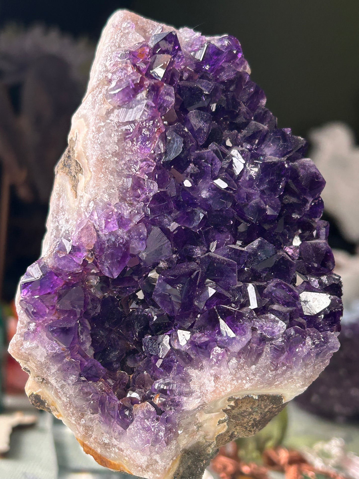 Brazilian Amethyst on stands