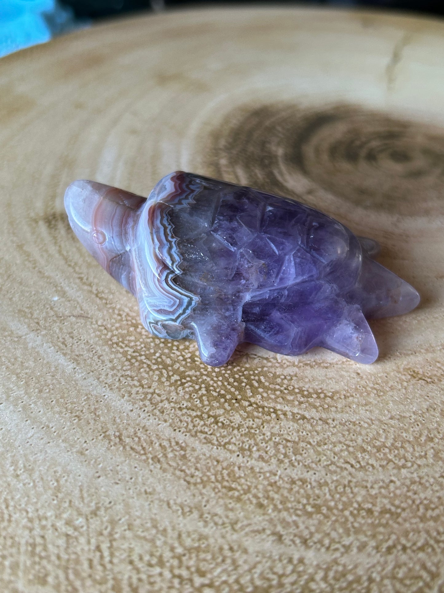 Amethyst & Crazy Lace Agate Turtles