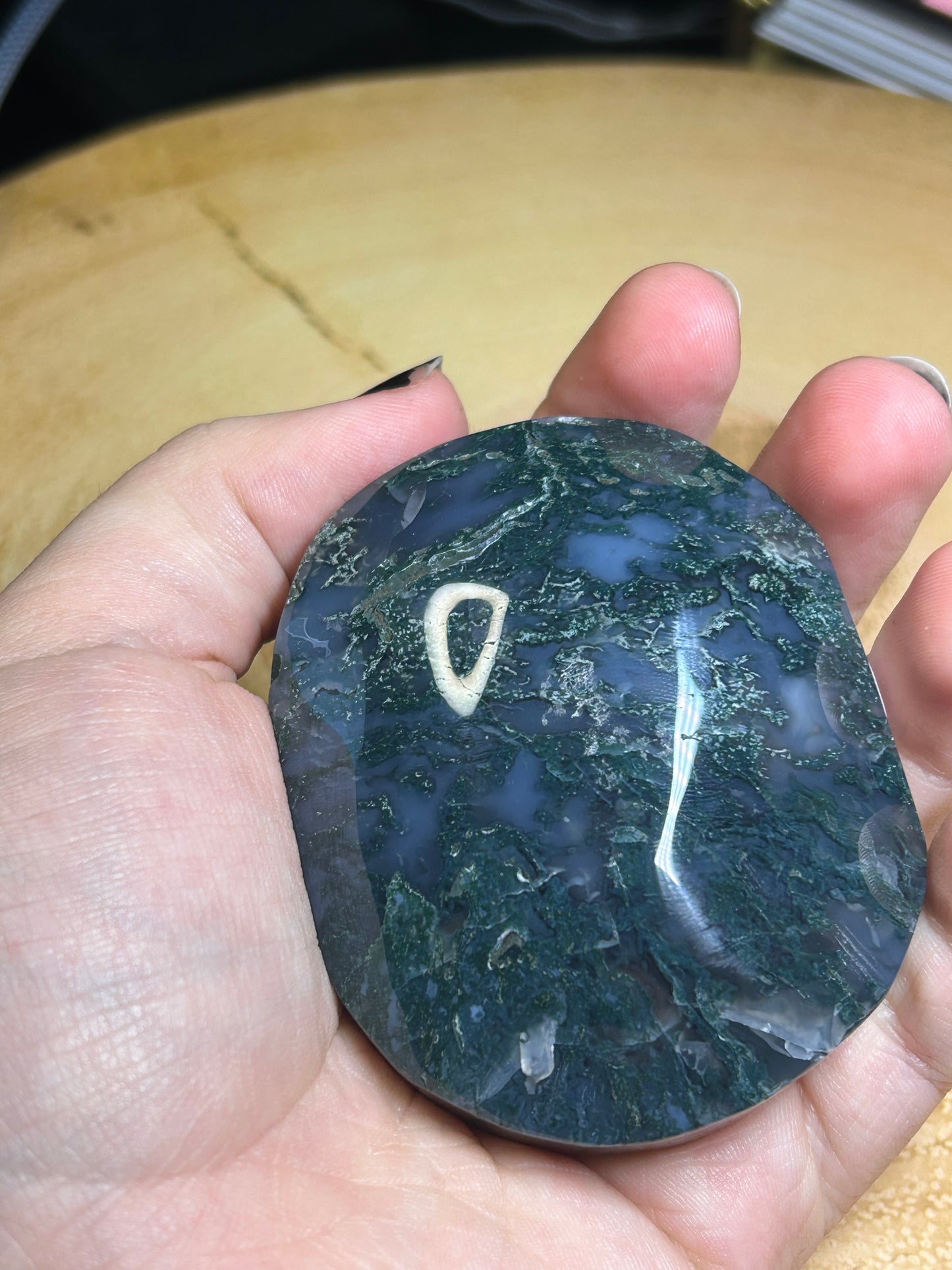 Large Moss Agate Palm