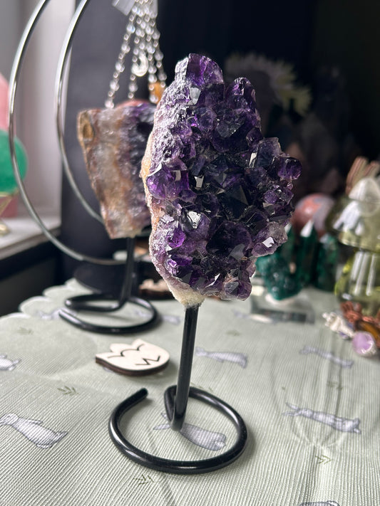 Brazilian Amethyst on stands