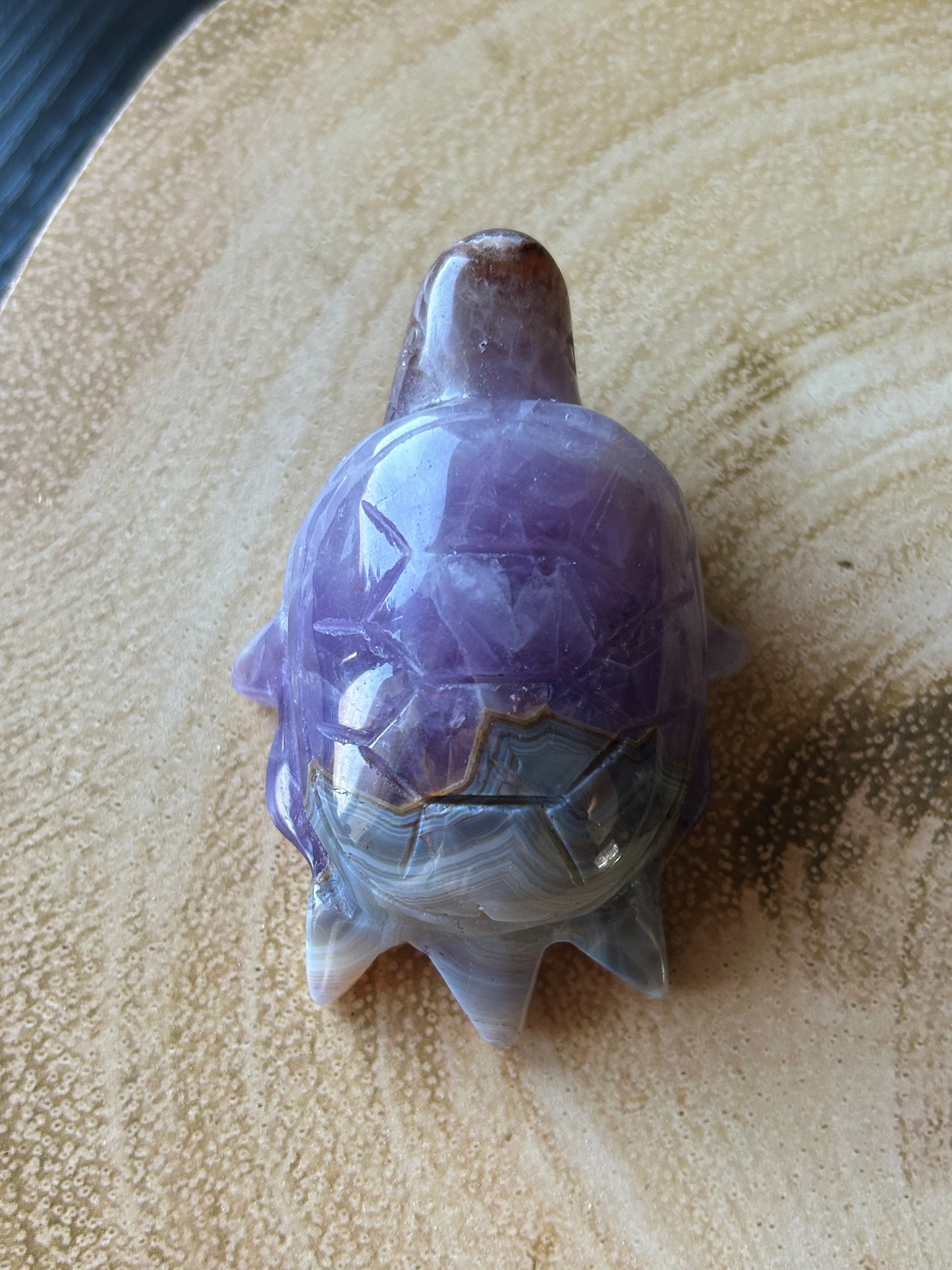 Amethyst & Crazy Lace Agate Turtles