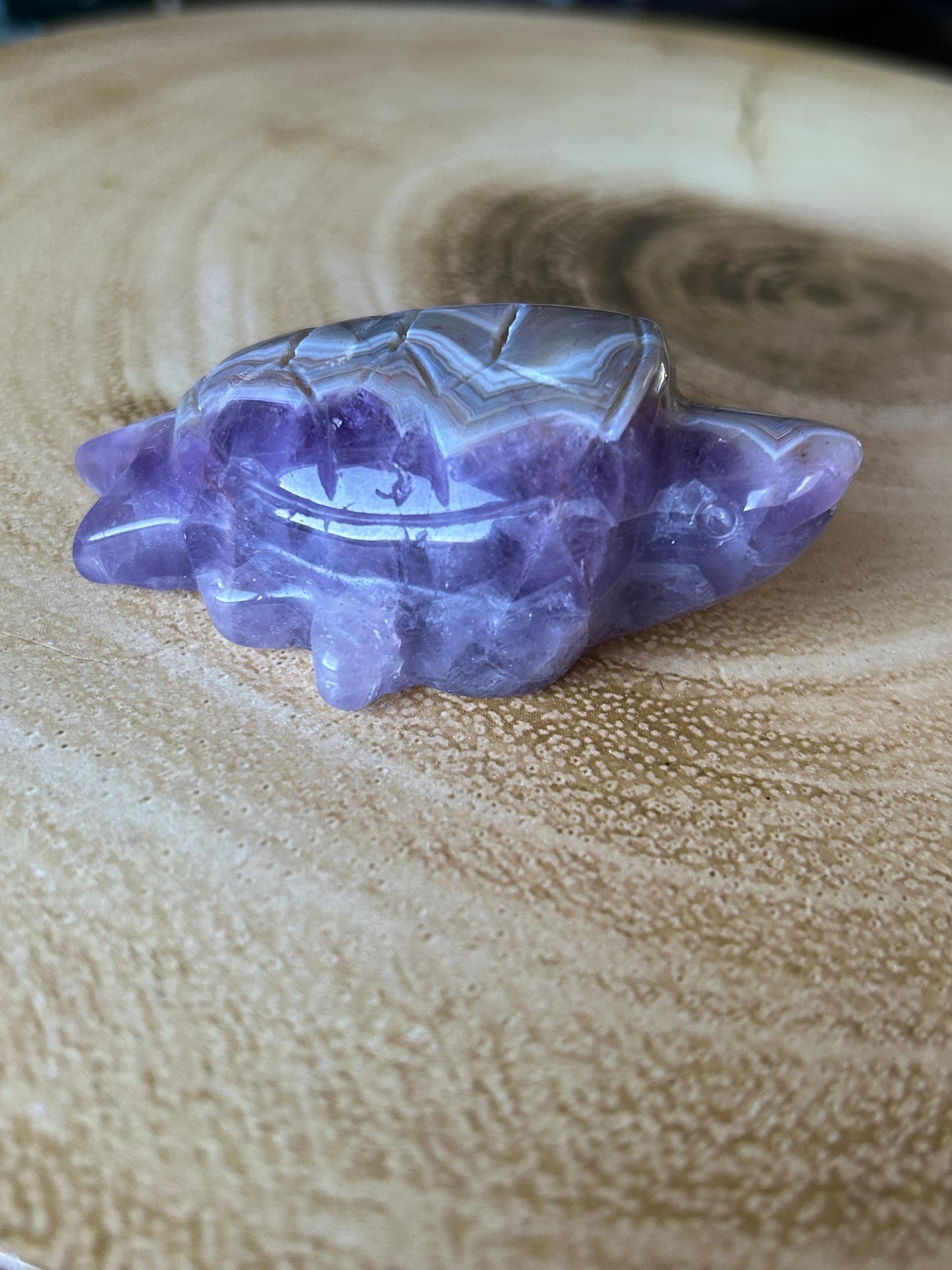 Amethyst & Crazy Lace Agate Turtles