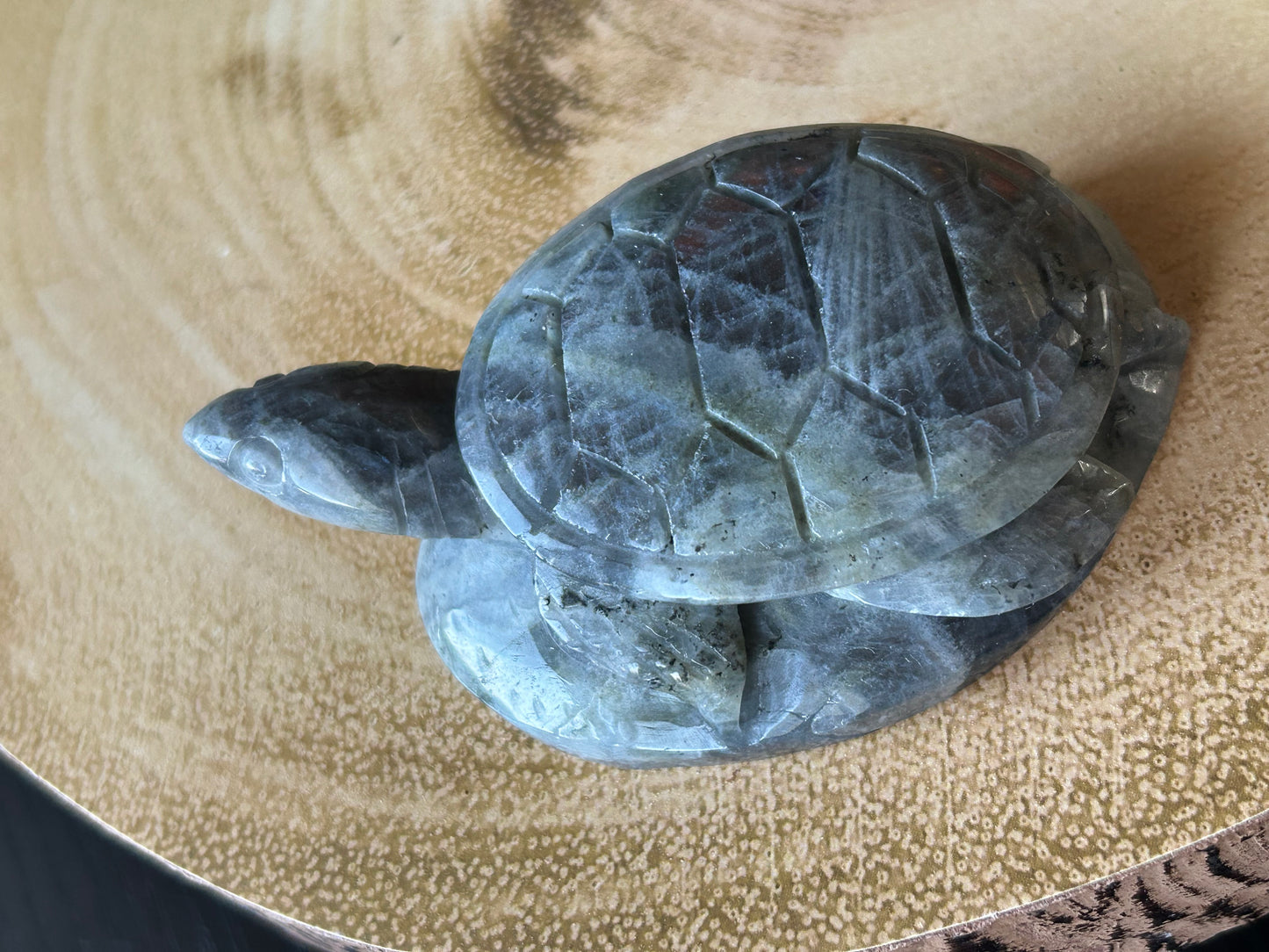 Labradorite Turtle