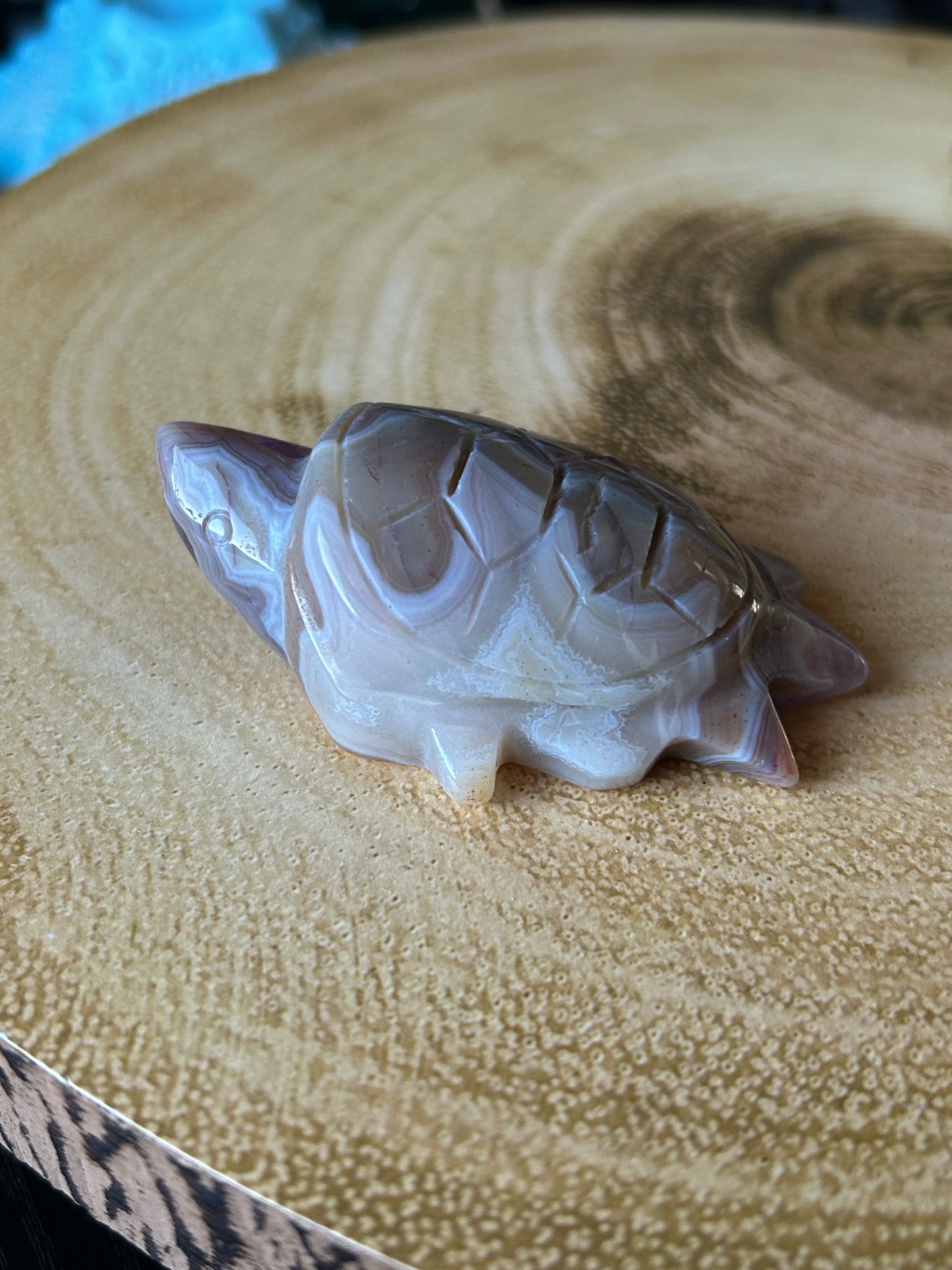 Amethyst & Crazy Lace Agate Turtles