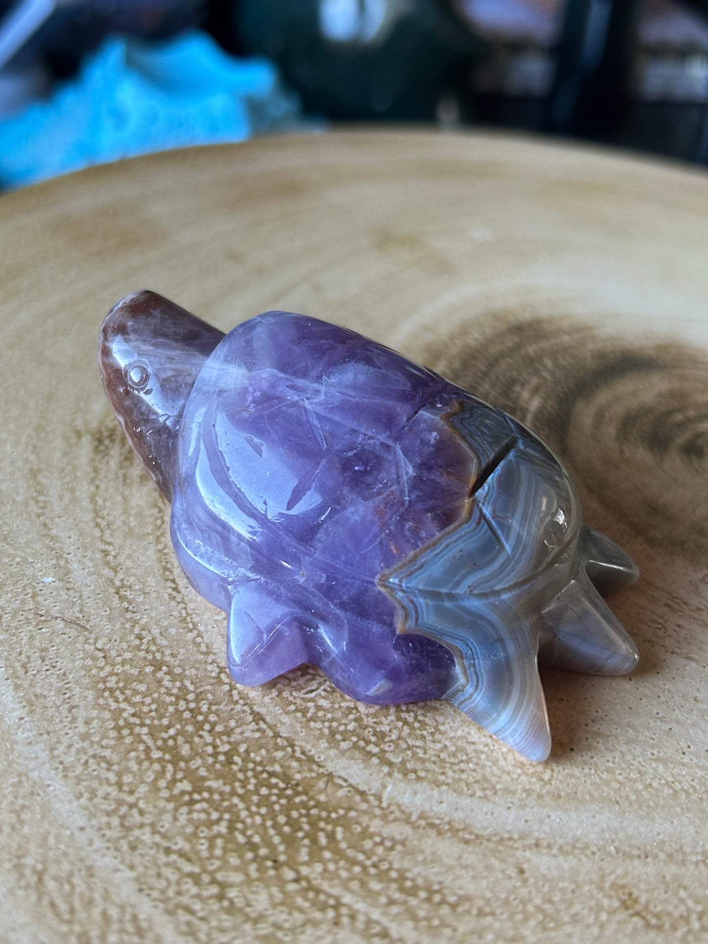 Amethyst & Crazy Lace Agate Turtles