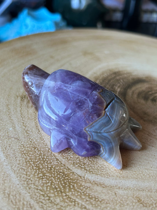 Amethyst & Crazy Lace Agate Turtles