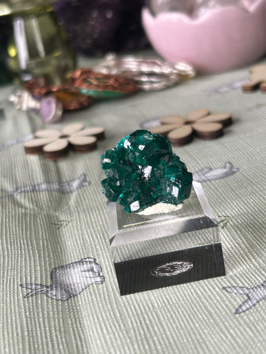 Dioptase Specimens