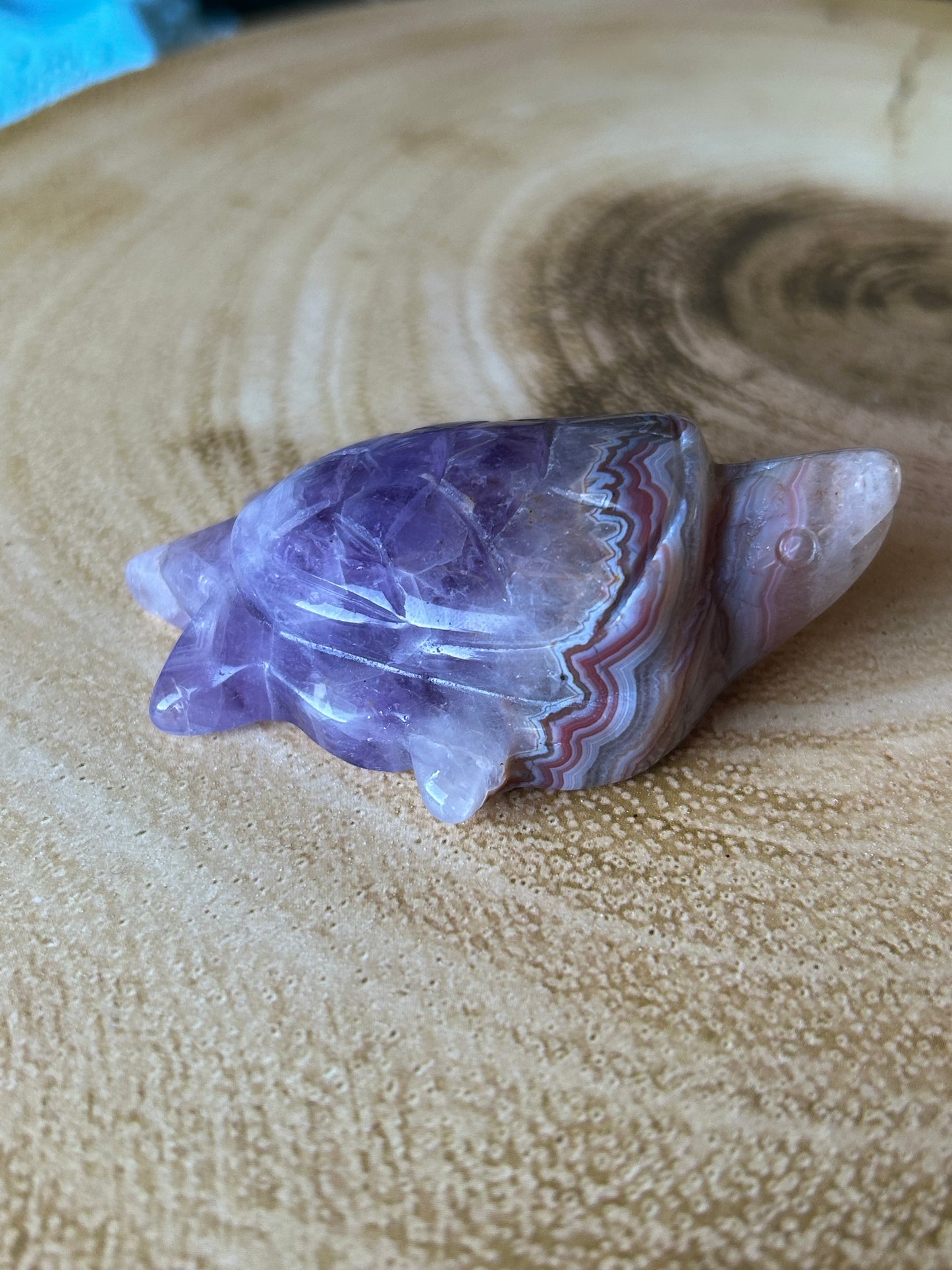 Amethyst & Crazy Lace Agate Turtles