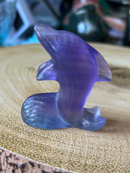 Purple Fluorite Dolphin