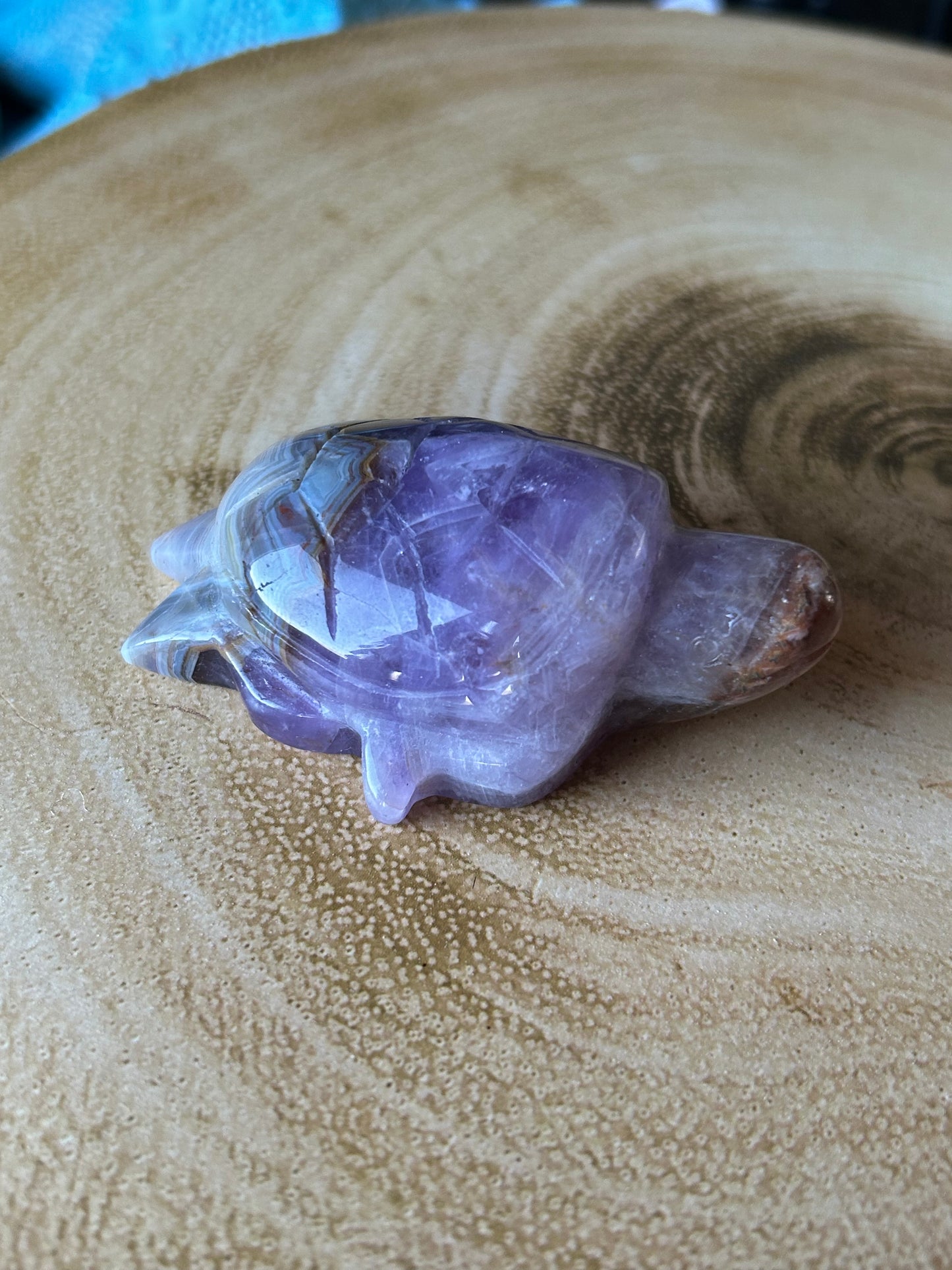 Amethyst & Crazy Lace Agate Turtles