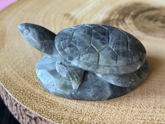 Labradorite Turtle