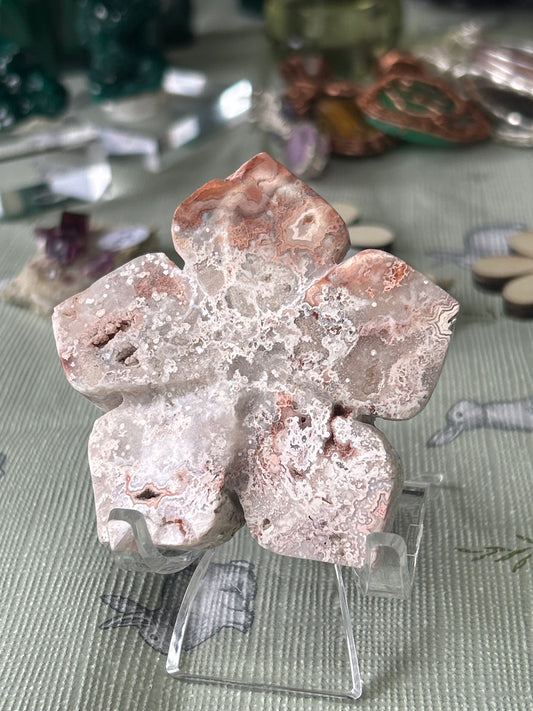 Crazy Lace Agate Flower