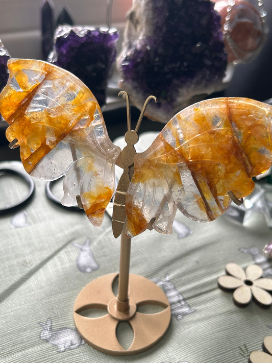 Golden Healer Butterfly Wings