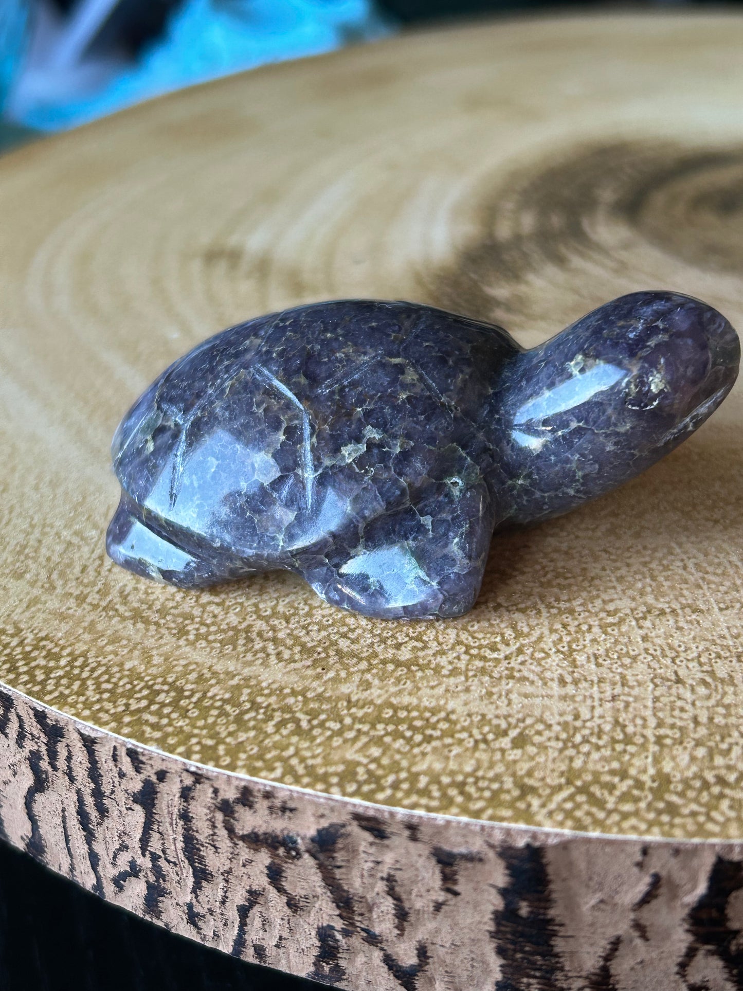 Grape Agate Turtle