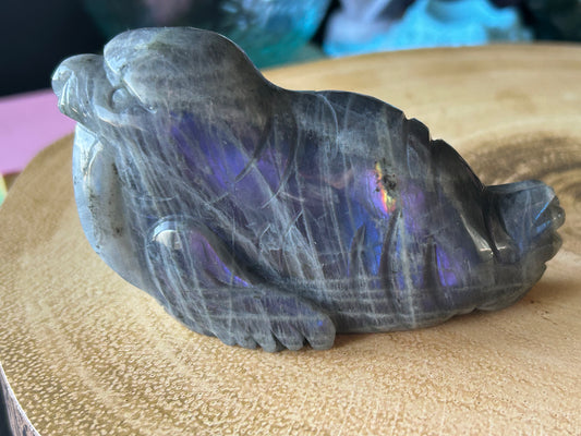 Labradorite Walrus